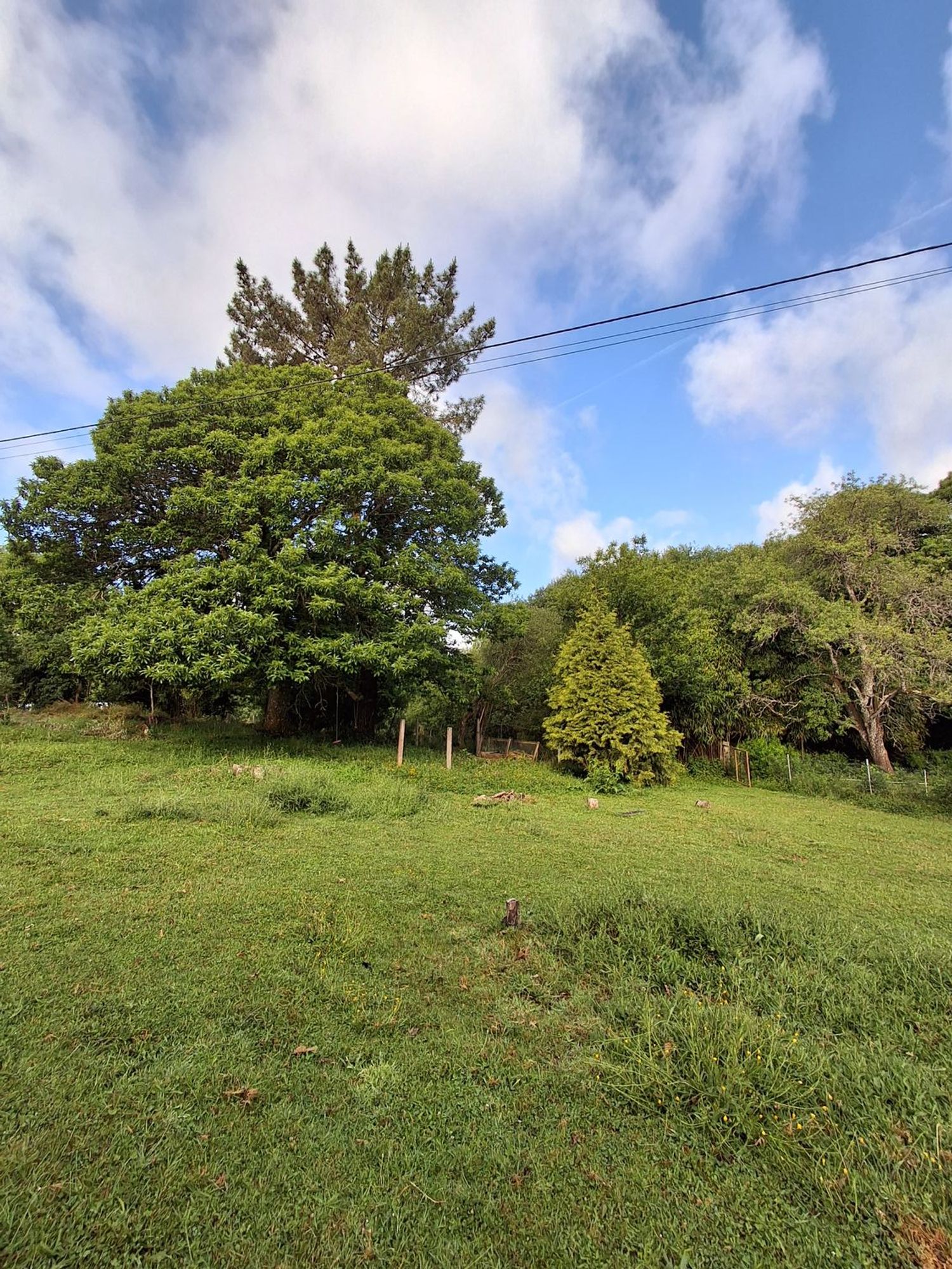 Casa rural en Friol, 1 - Foto 17