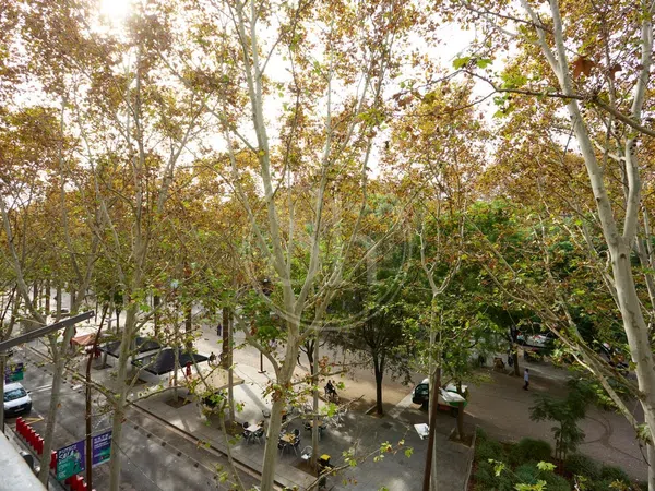 Piso en Passatge de Bernardí Martorell, El Raval - Foto 27