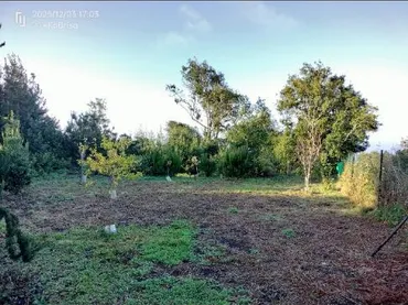 Finca rústica en  Pista La Cancela 97 - Foto 4