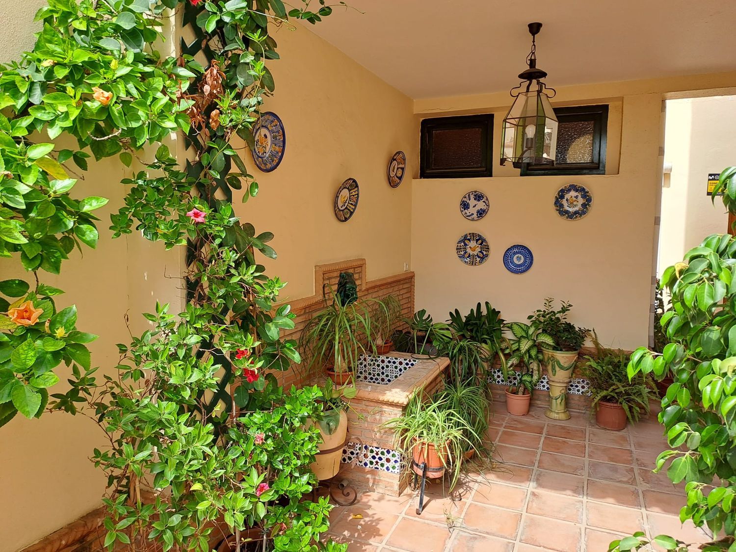 Casa o chalet independiente en Calle Gabriel y Galán, 9, Pedregalejo - Morlaco - Foto 4