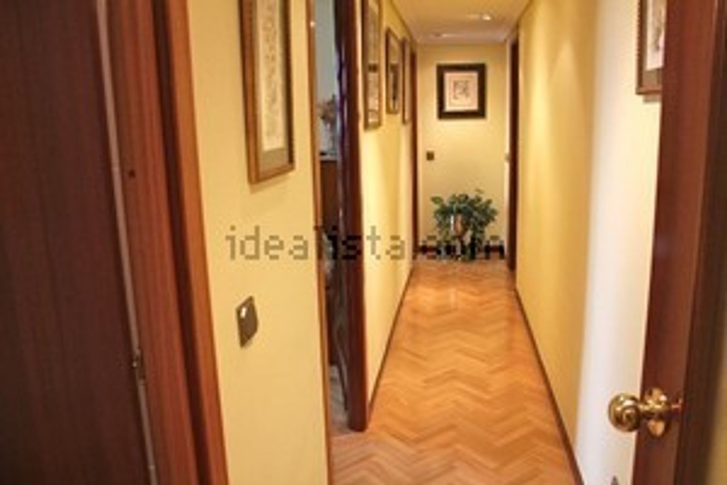 Piso en Avenida Orovilla, 69, Los Rosales - Foto 6