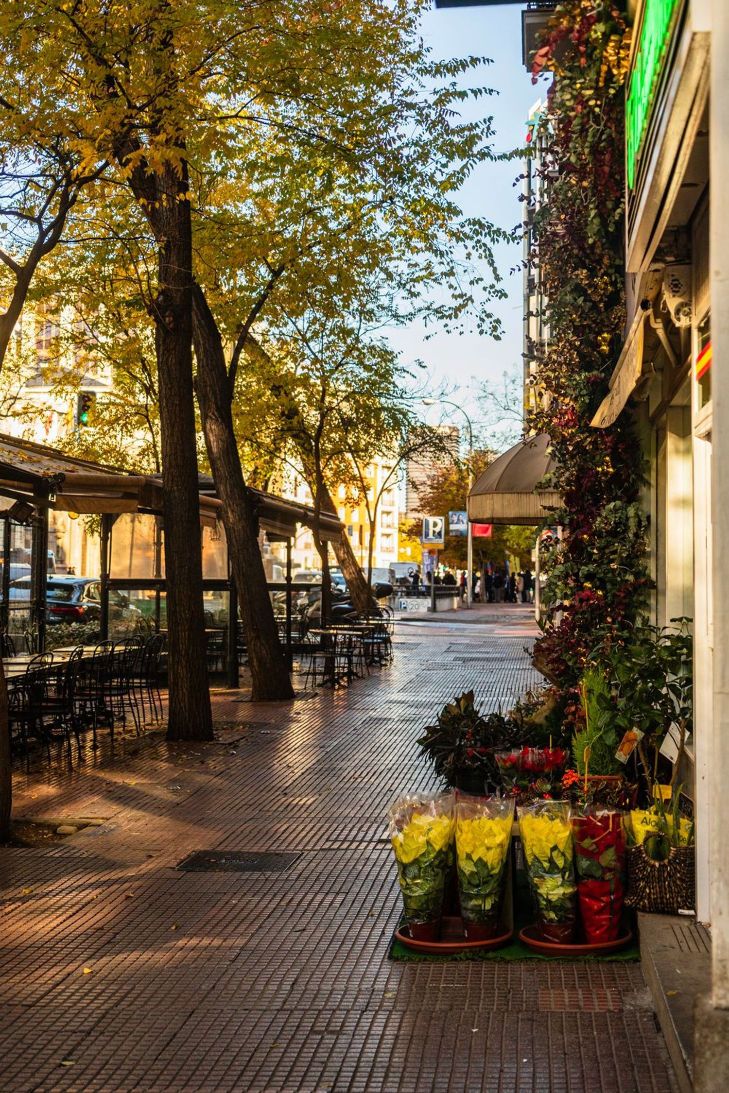 Piso en Calle de Miguel Ángel, 24, Almagro - Foto 38