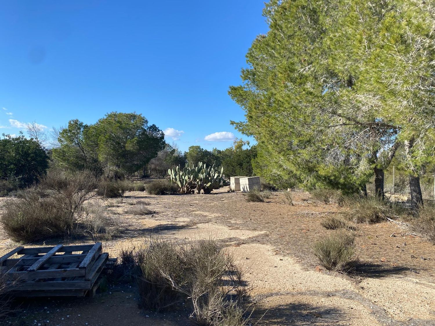 Casa independiente en camino de José Antonio Arnaldos s/n - Foto 34
