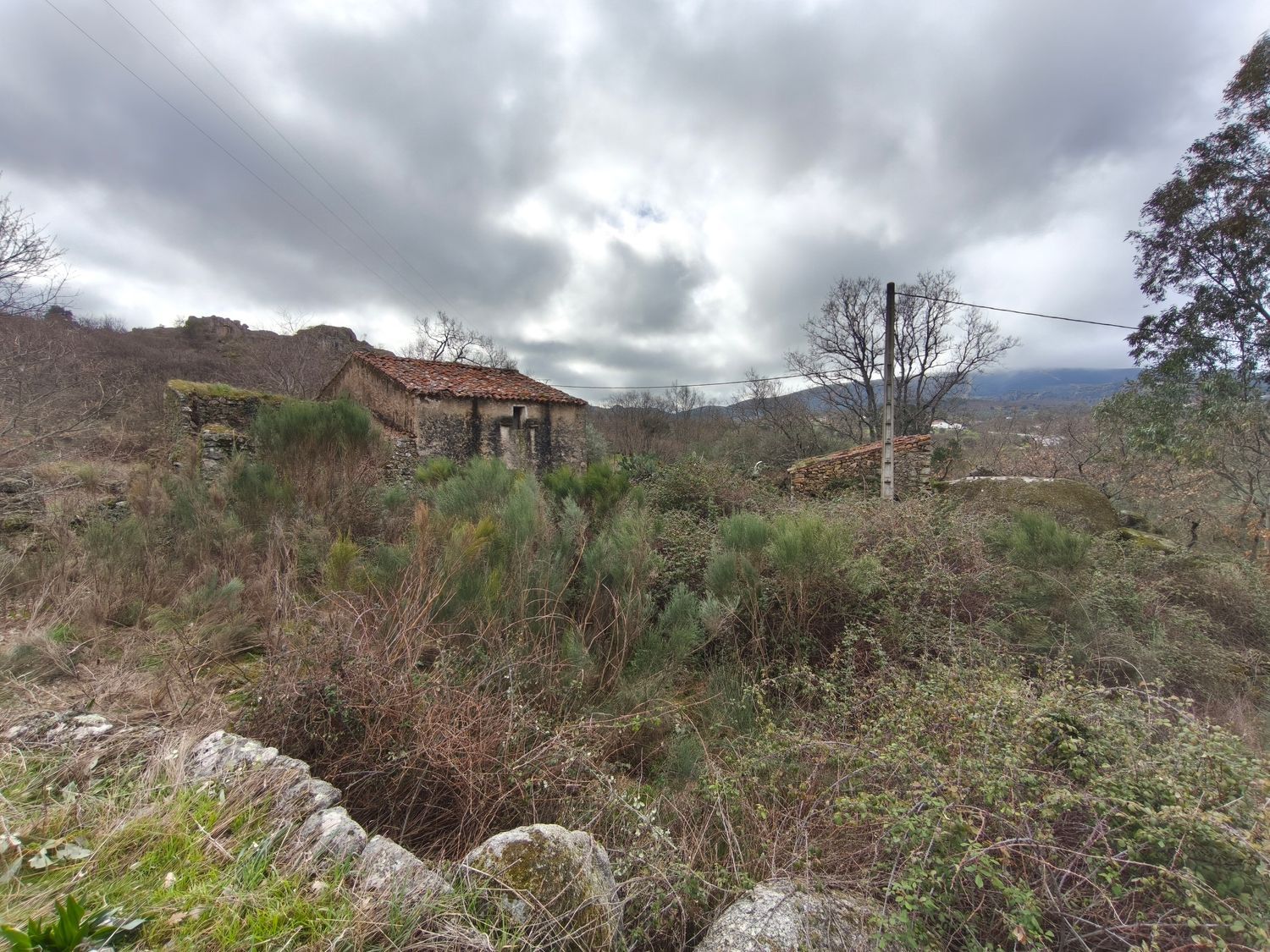 Finca rústica en Poblado los Arroyos de Abajo, 39 poligonoparcela - Foto 33