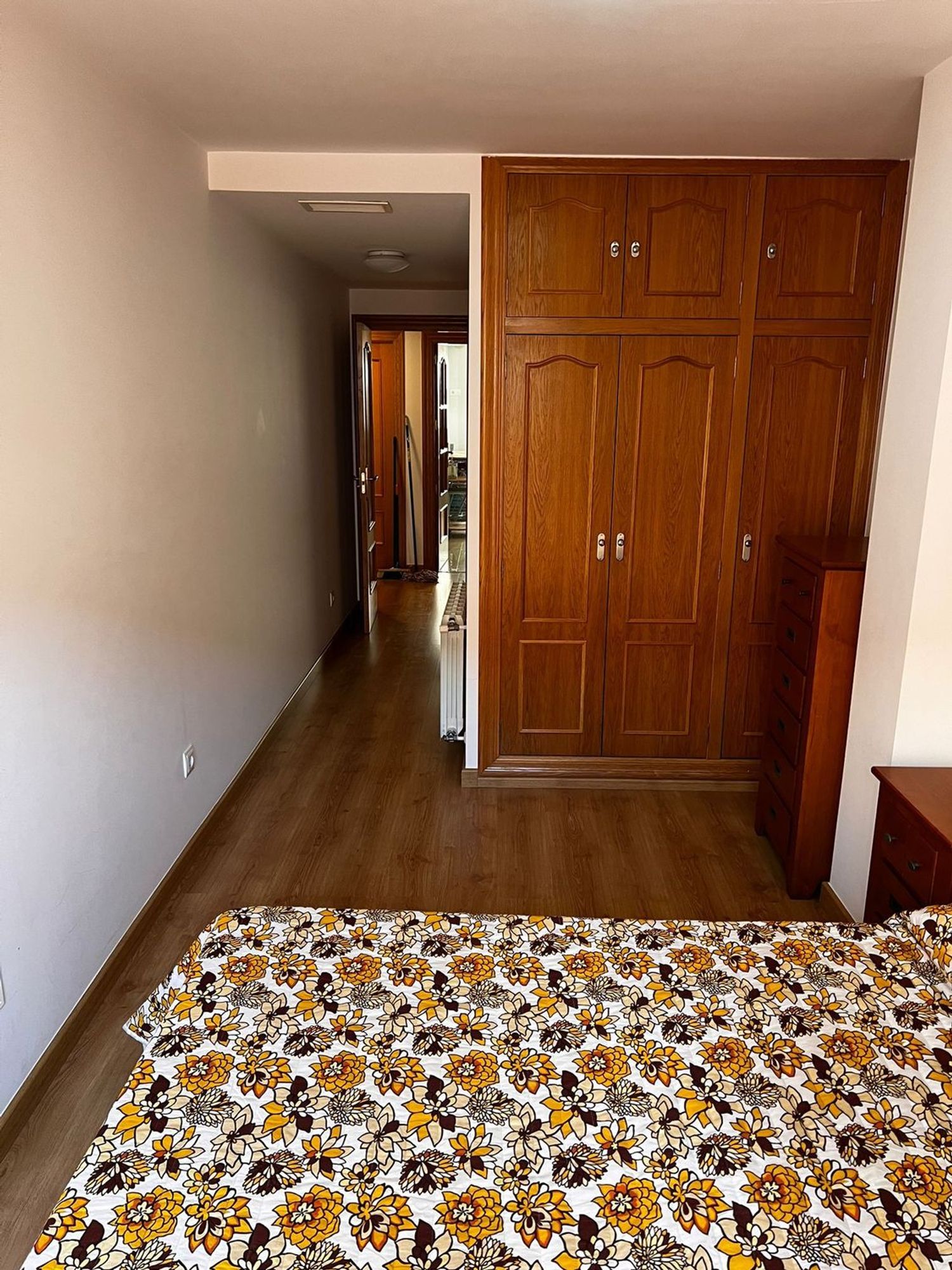 Piso en Plaza andres baqero, 7, San Lorenzo - Foto 9