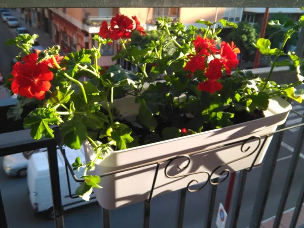 Piso en Virgen de Lujan, 42 - Foto 5