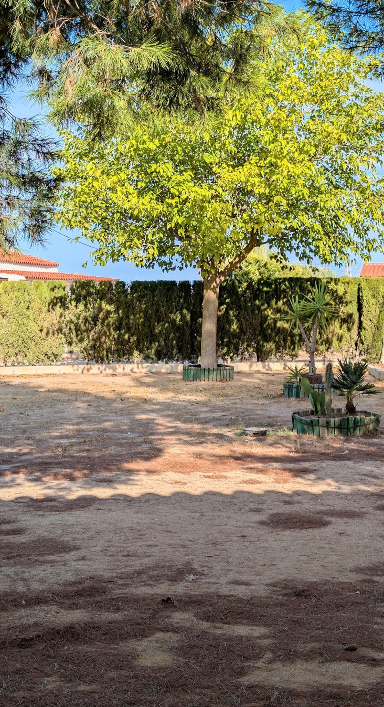 Finca rústica en Calle Morenales, 108 - Foto 7