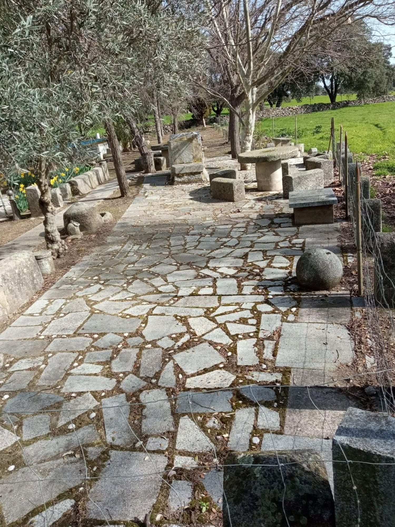 Finca rústica en Camino de la Huerta Bastida s/n - Foto 10