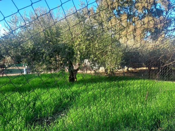 Finca rústica en Cañada Real Soriana, 12 - Foto 8