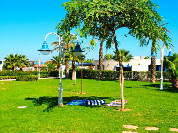Piso en Avenida Mare Nostrum, 15 - Foto 14