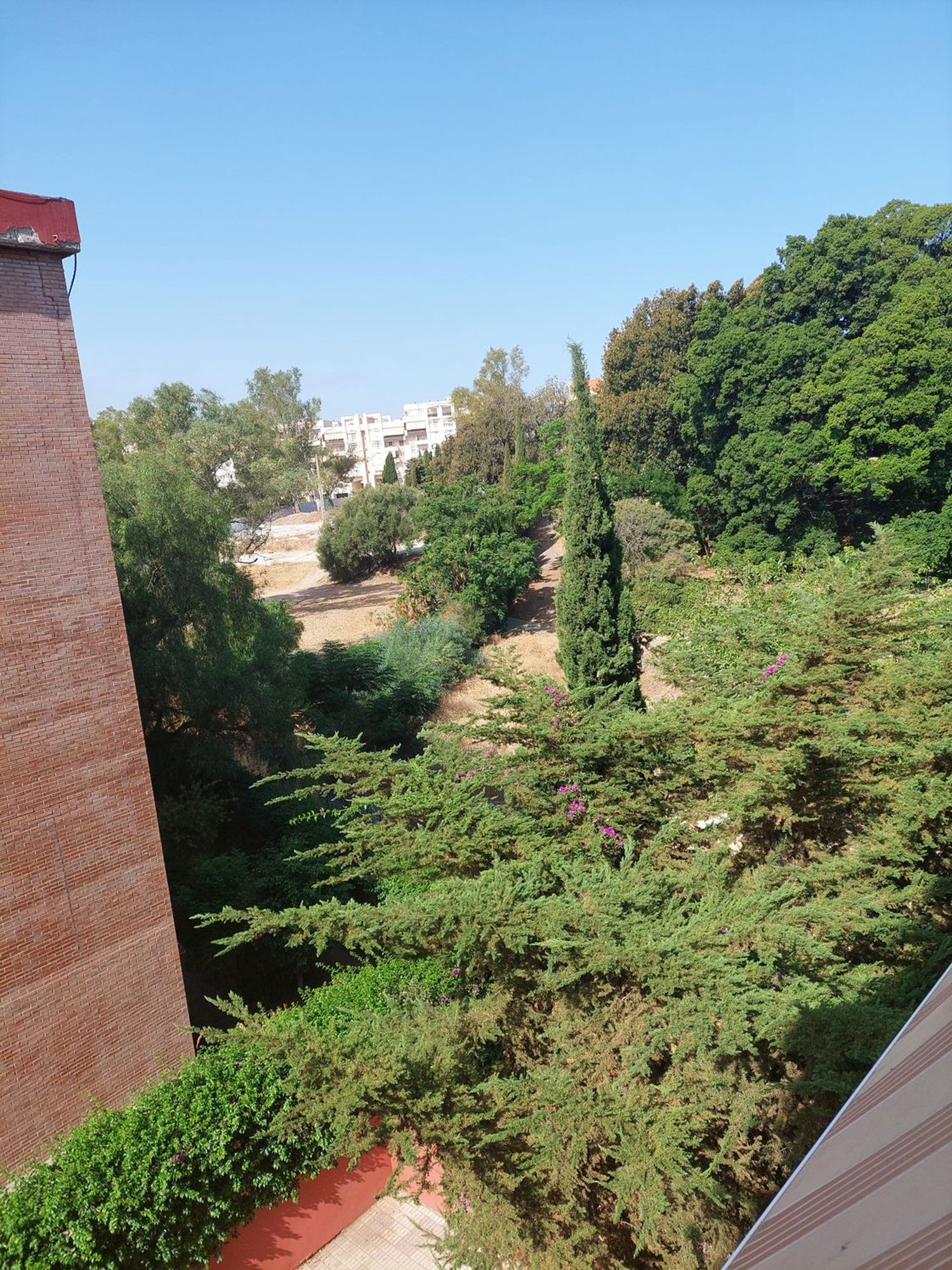 Piso en Calle Ruy López, 60, Camino de Antequera - Foto 11