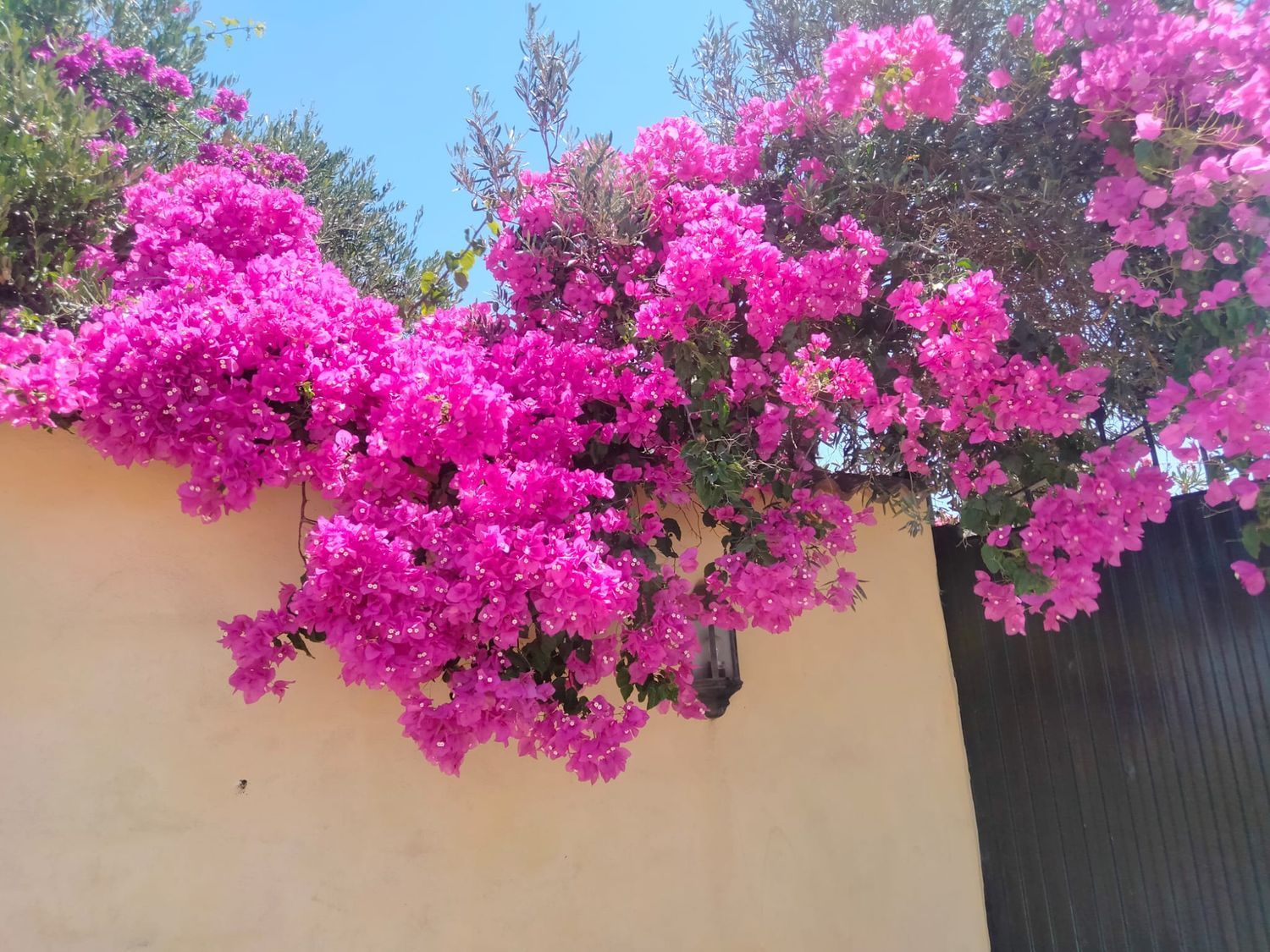 Casa rural en Huerta del pilar, 16 - Foto 8