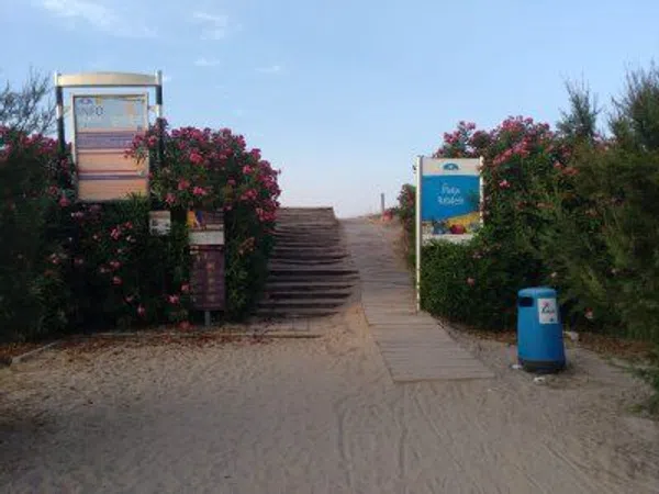 Estudio en Calle de Beniarjó, 13, Platja de Oliva, Platja de Oliva - Foto 28