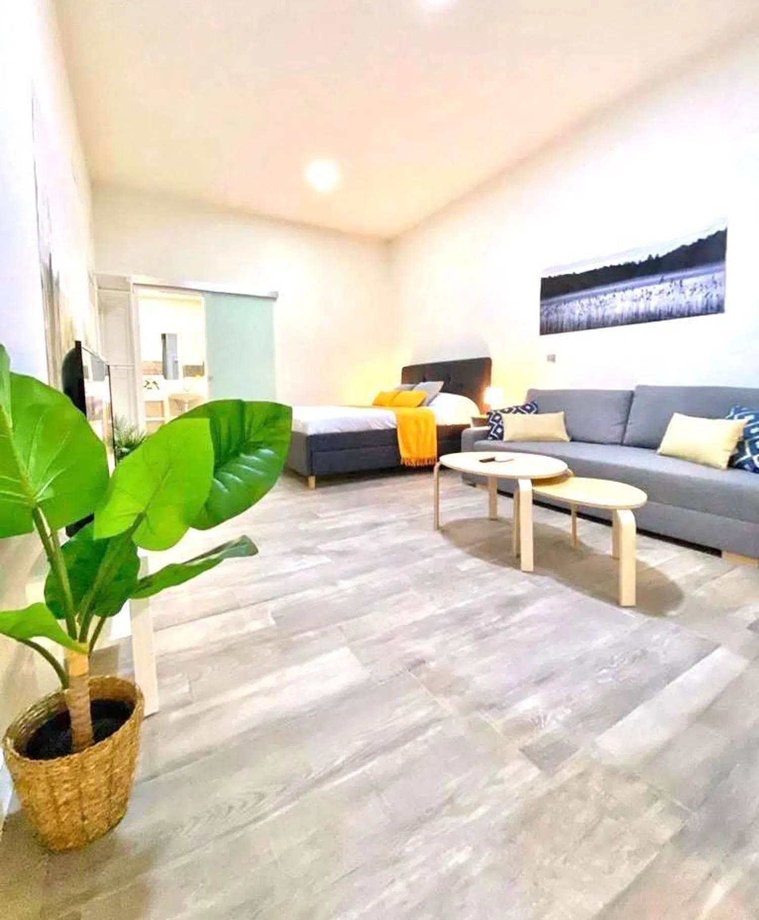 Estudio en calle Perdiguera, 18 - Foto 1