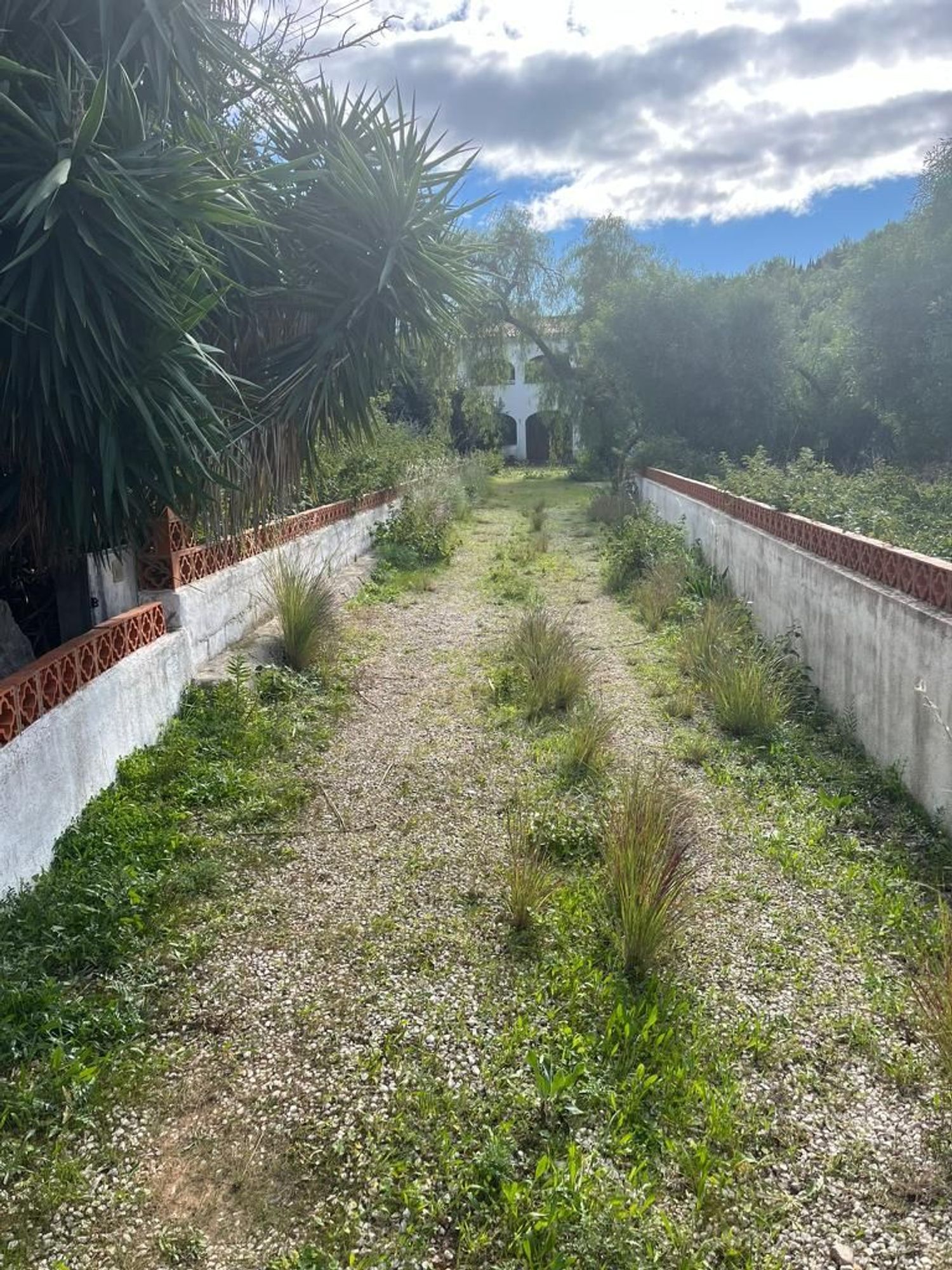 Finca rústica en Partida Molinete, 7, Centro, Centro - Foto 6