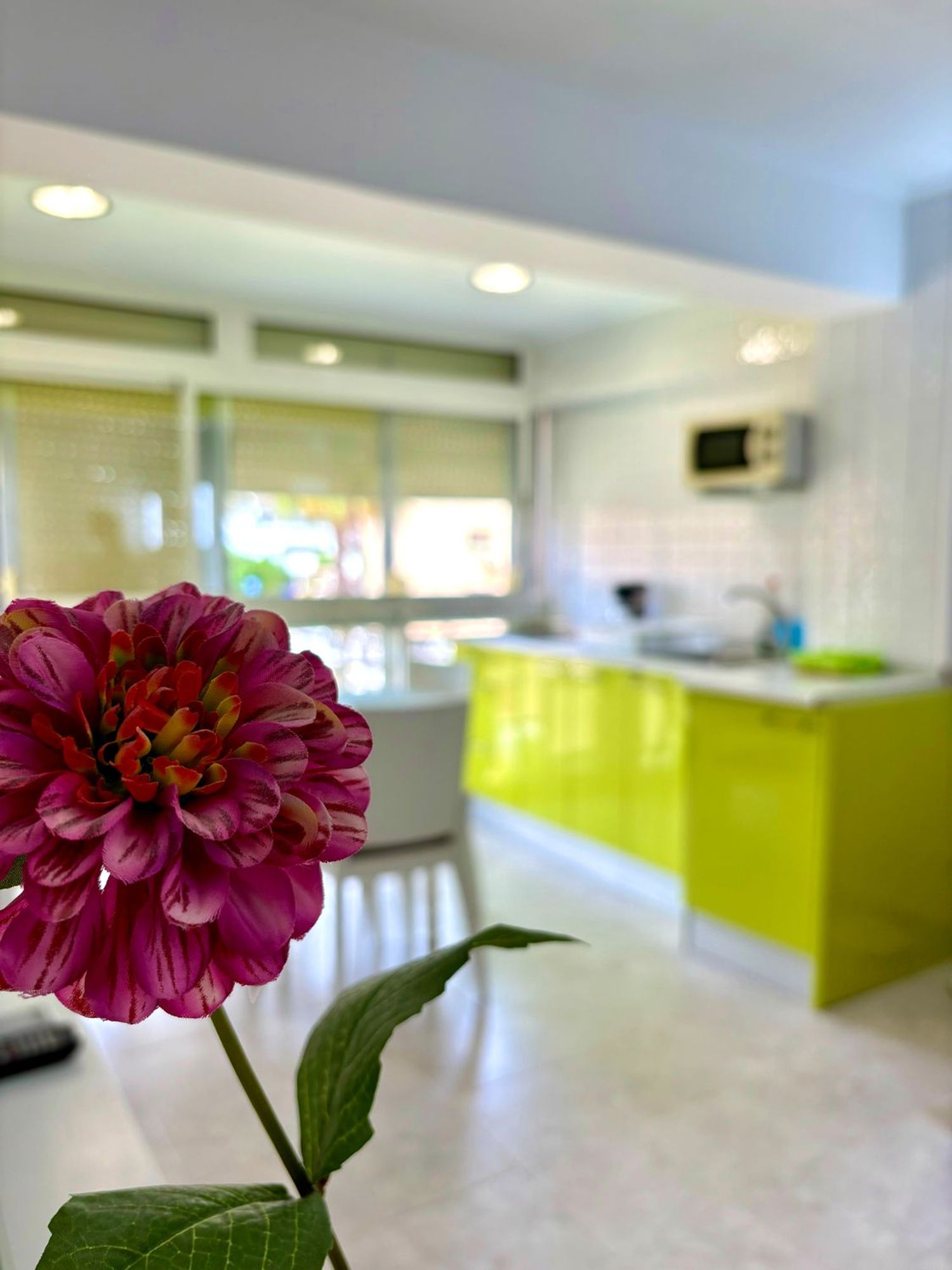 Estudio en Avenida Carlota Alessandri, 99, La Carihuela - Los Nidos, La Carihuela - Los Nidos - Foto 6