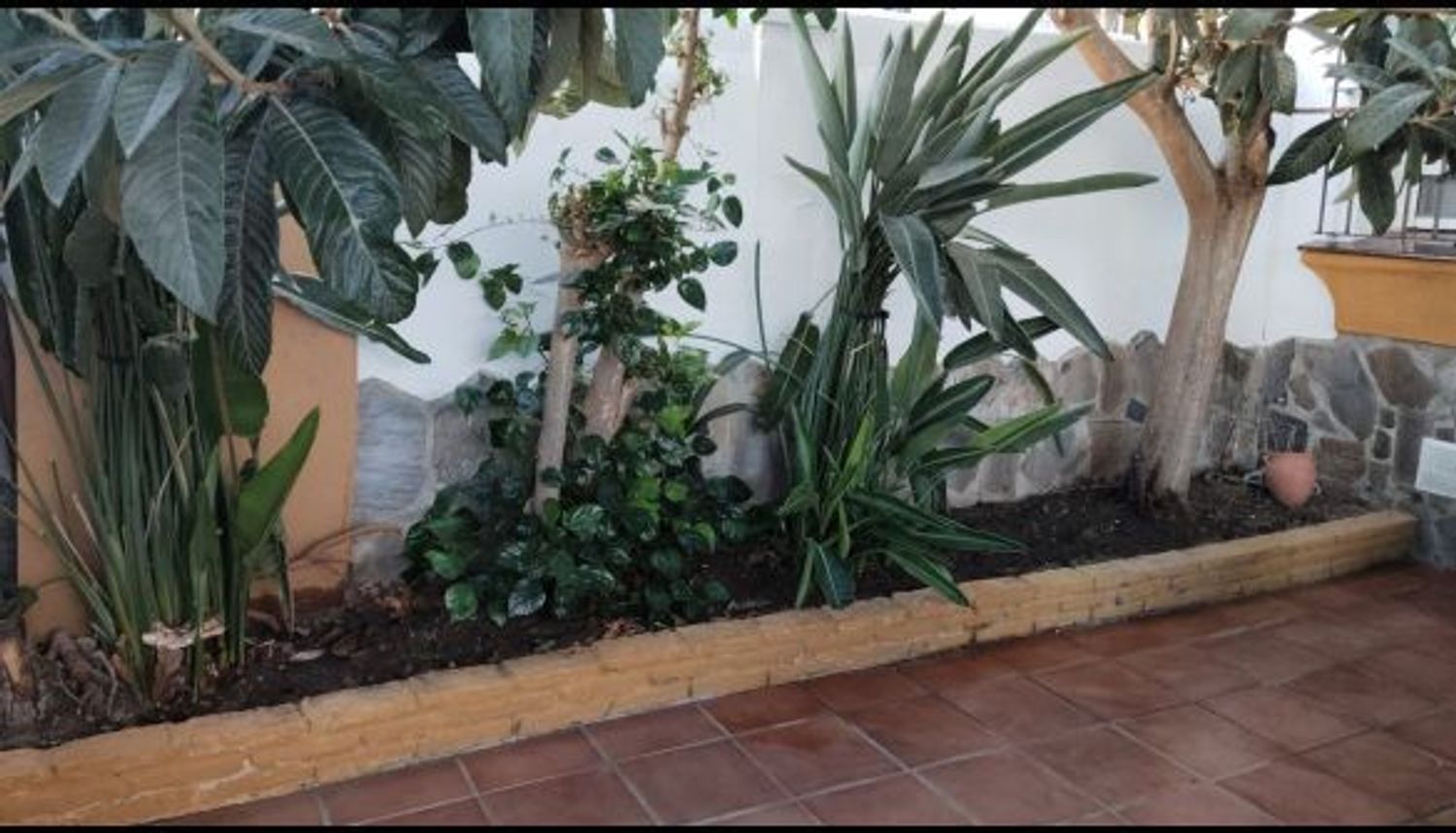 Chalet adosado en Urbanización C.R.las Torres, 171, La Barrosa, La Barrosa - Foto 8