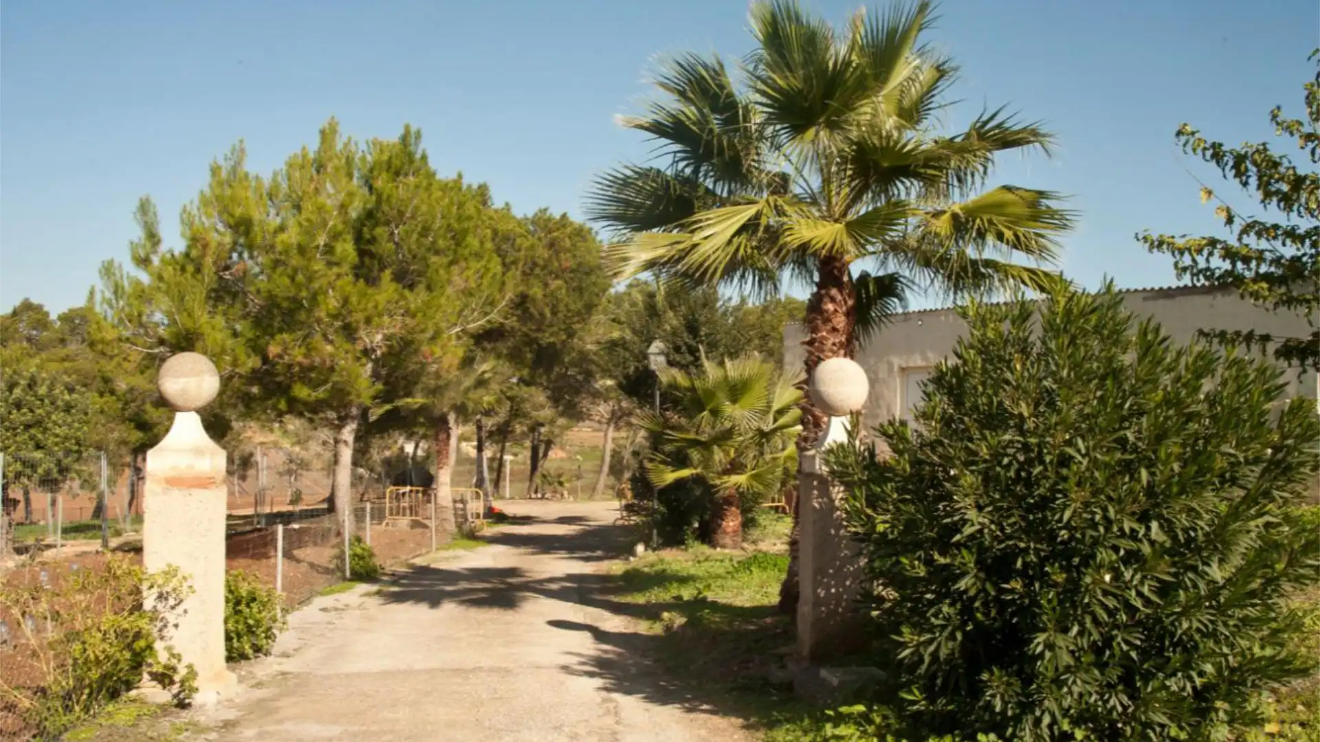 Finca rústica en  Diseminado 8725- Sa Casa Blanca 363 - Foto 8