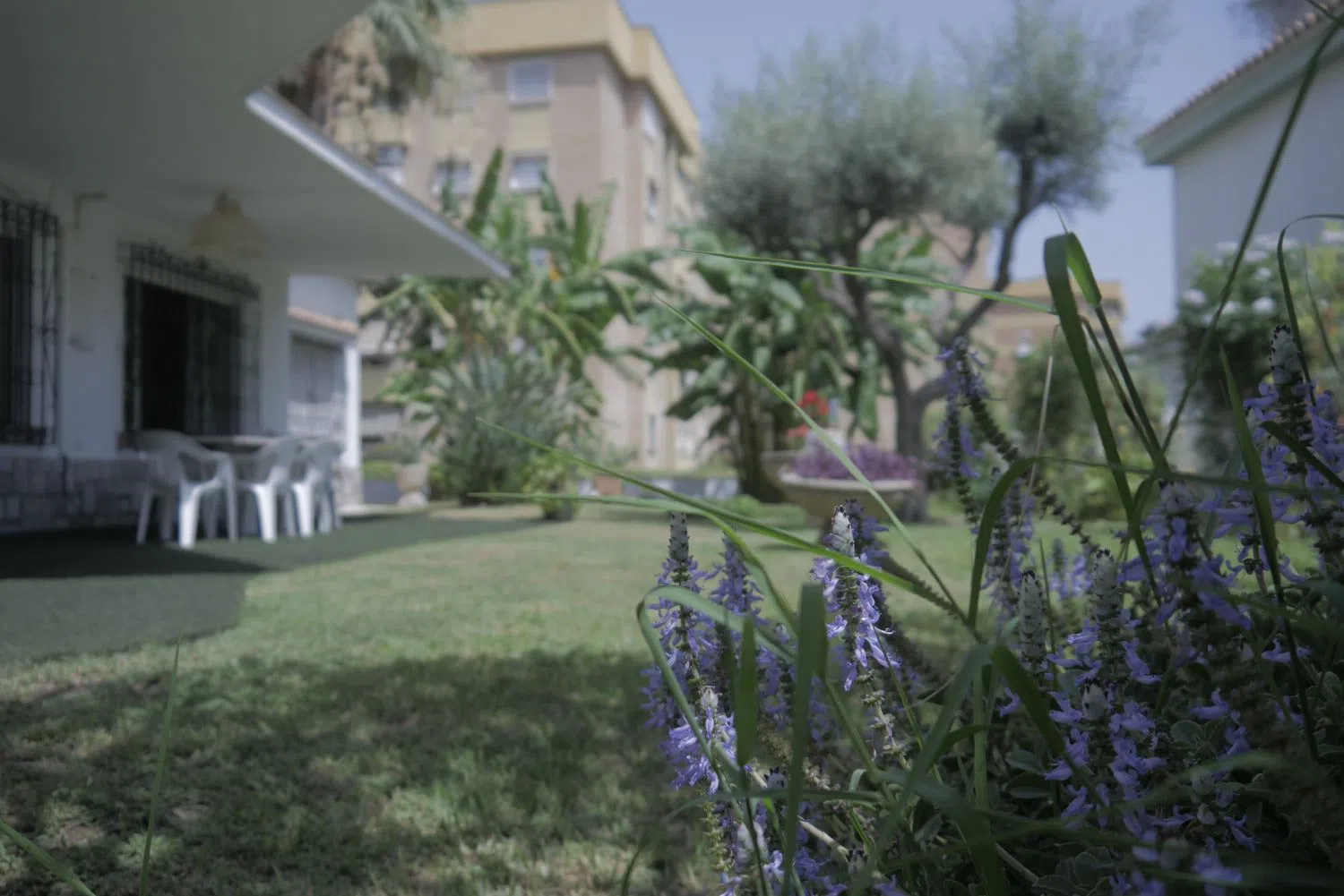 Casa independiente en calle Don Diego de Miranda, 6 - Foto 1