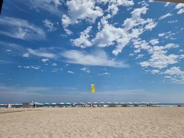 Piso en avenida Artista Remigio Soler López, 9 - Foto 22