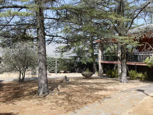 Casa o chalet independiente en Avenida de Bertolez, 7 - Foto 7