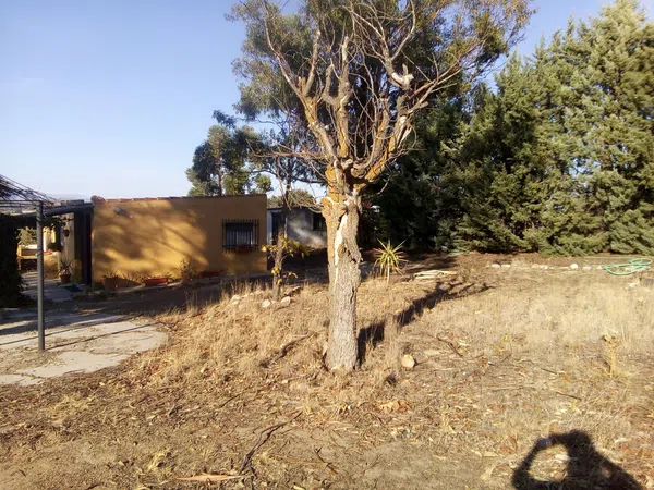 Finca rústica en camino de las laderas, 45 - Foto 5