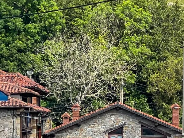 Piso en Barrio Viallan, 257 - Foto 3
