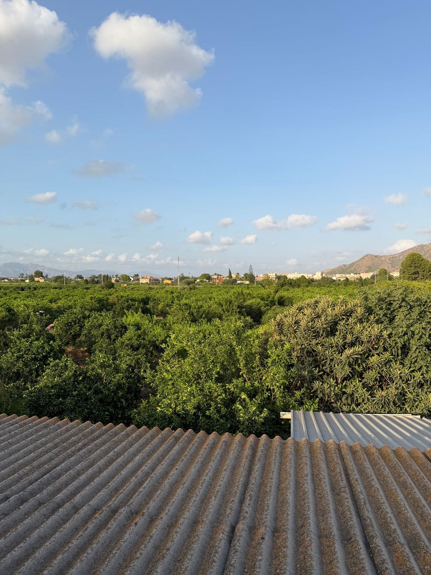 Finca rústica en Camino de los Plazas, 16, San José de la Vega - Foto 20