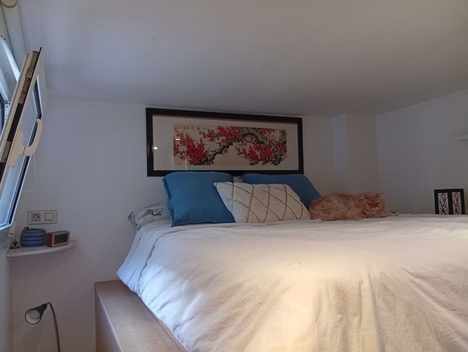 Piso en plaza de Prim, 3 - Foto 8