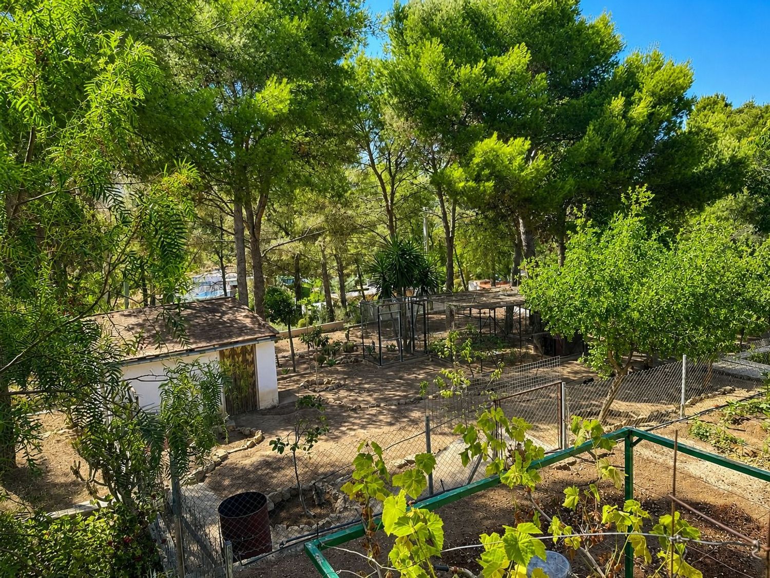 Finca rústica en Poligono 1, 513 parcela - Foto 32