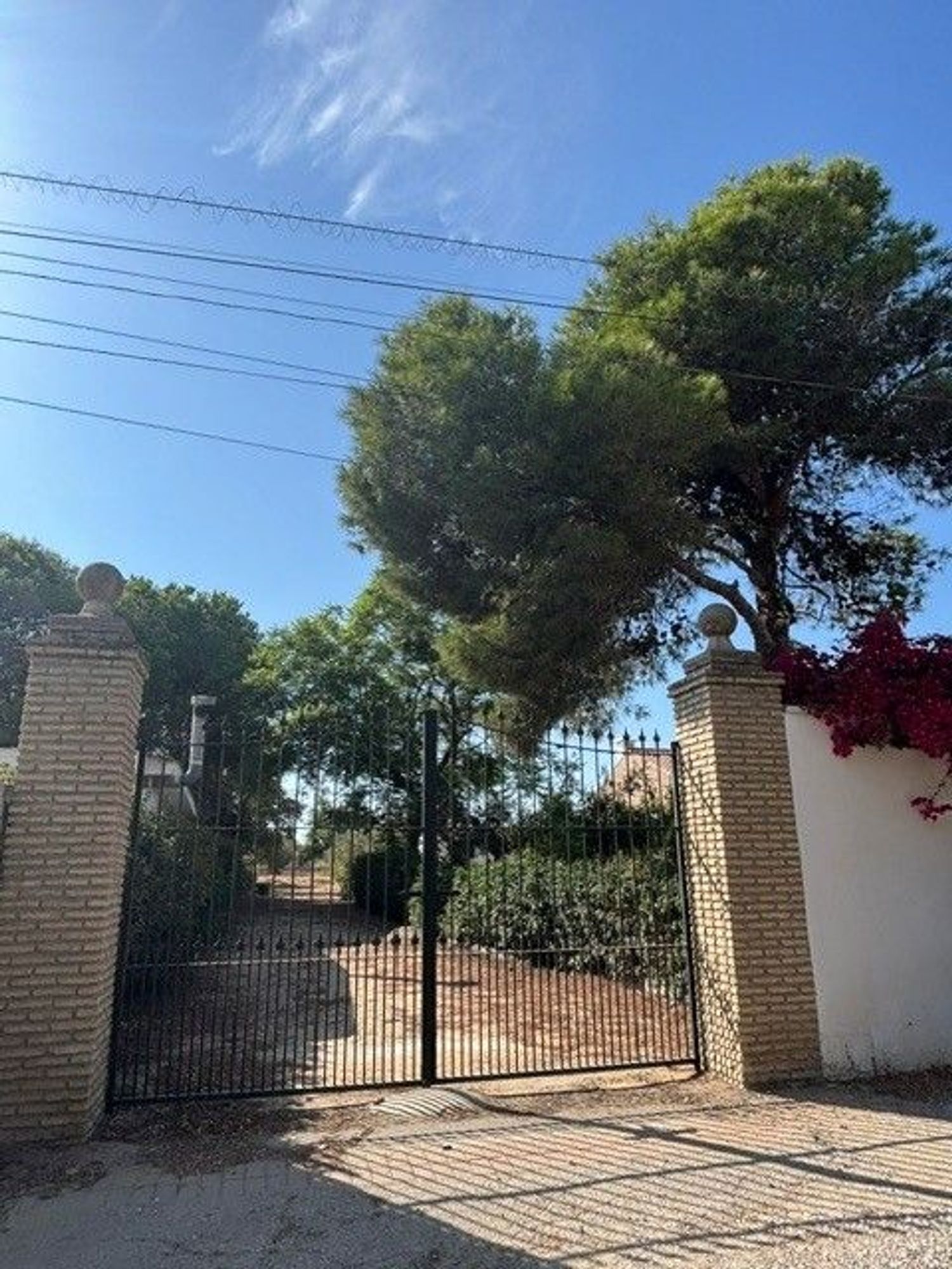Casa o chalet independiente en Calle Vison, 13, Cuatro Pinos-El Carmen - Foto 3