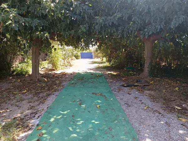 Cortijo en Cortijo en Partida Poligono 22, 220, Zona Llombai, Zona Llombai - Foto 19