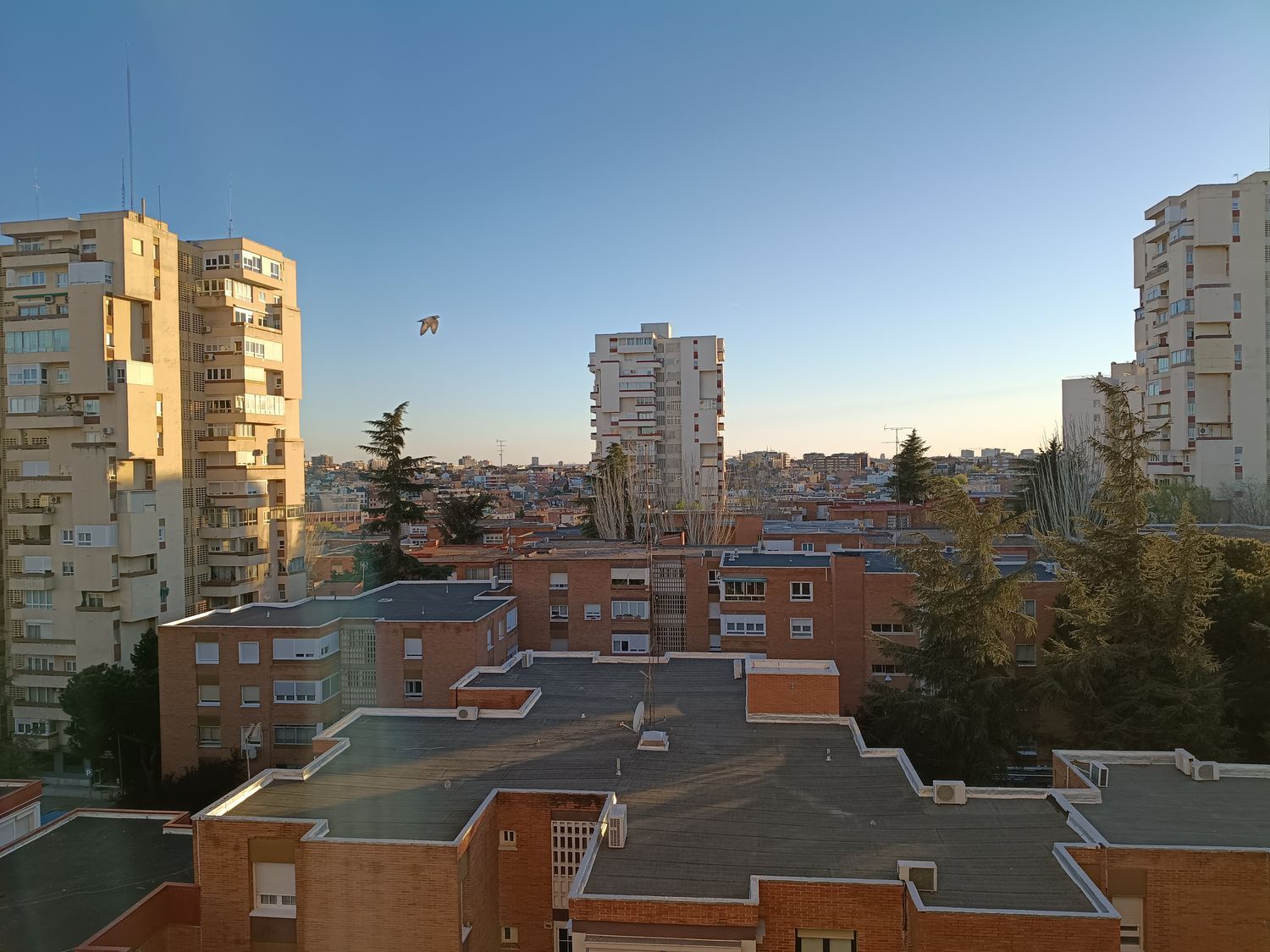 Piso en carretera de Canillas, 76 - Foto 23