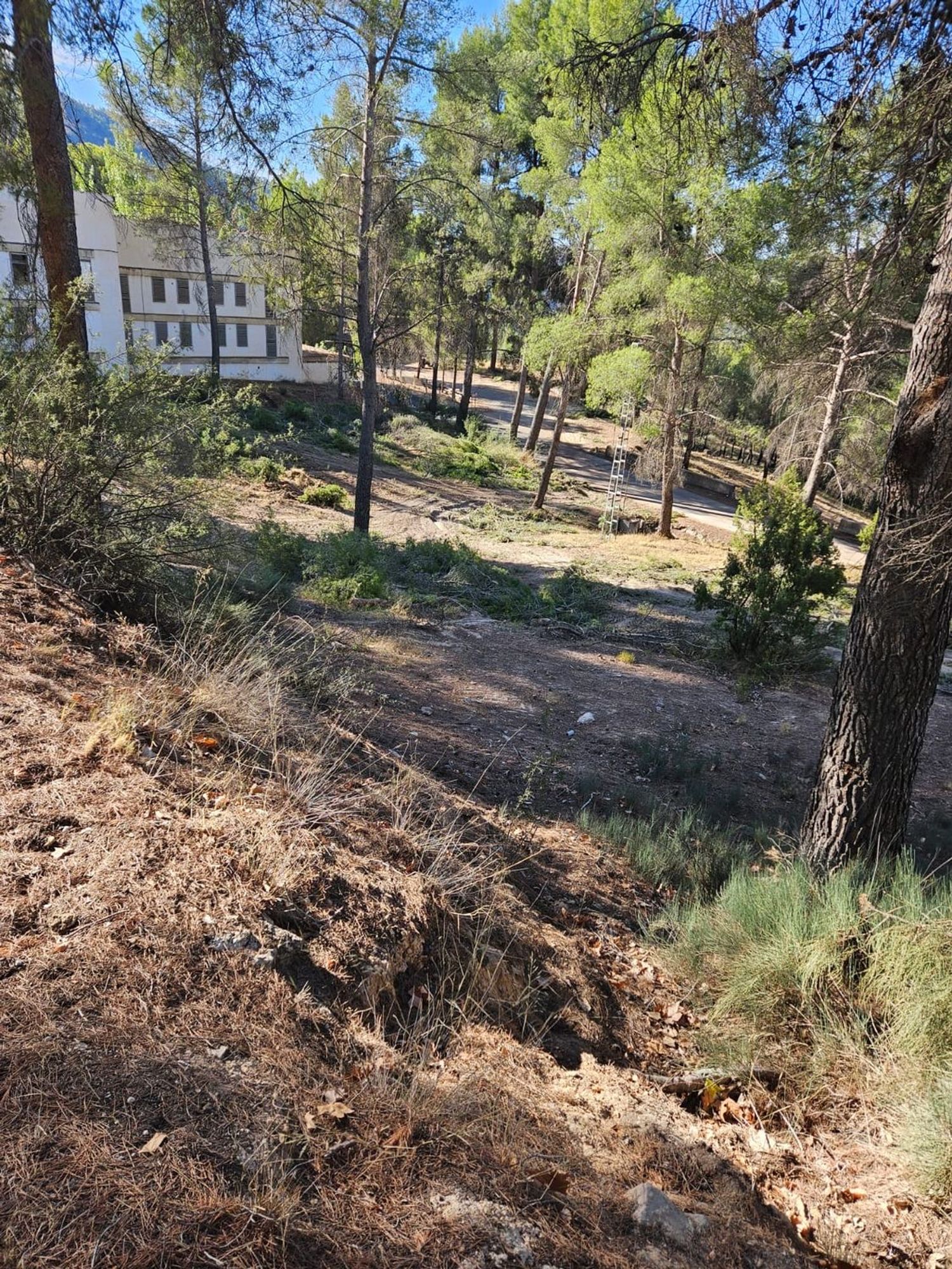Casa o chalet independiente en Barrio Pantano Contreras, 10 f - Foto 38