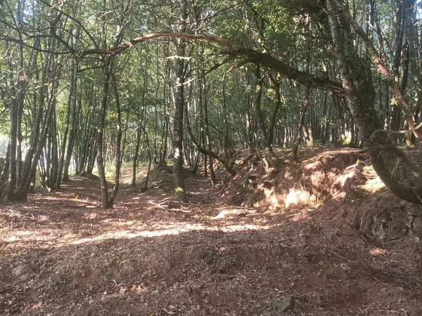 Finca rústica en Sarceda, 2 - Foto 14