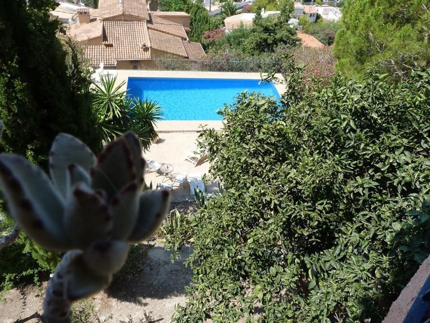 Casa o chalet independiente en Avenida de les Calcides, 141, La Viña - Montemar - San Jaime, La Viña - Montemar - San Jaime - Foto 25