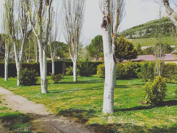 Casa rural en Avenida Virgen del Manzano, 1 - Foto 8