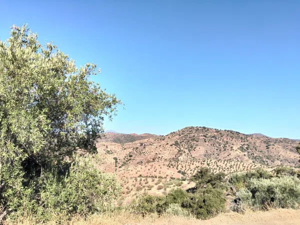 Finca rústica en Camino Los Nuñez, 1 - Foto 5