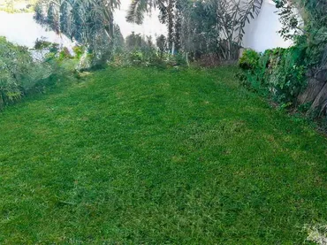 Dúplex en  Urbanizacion Sonnenland 21 - Foto 8