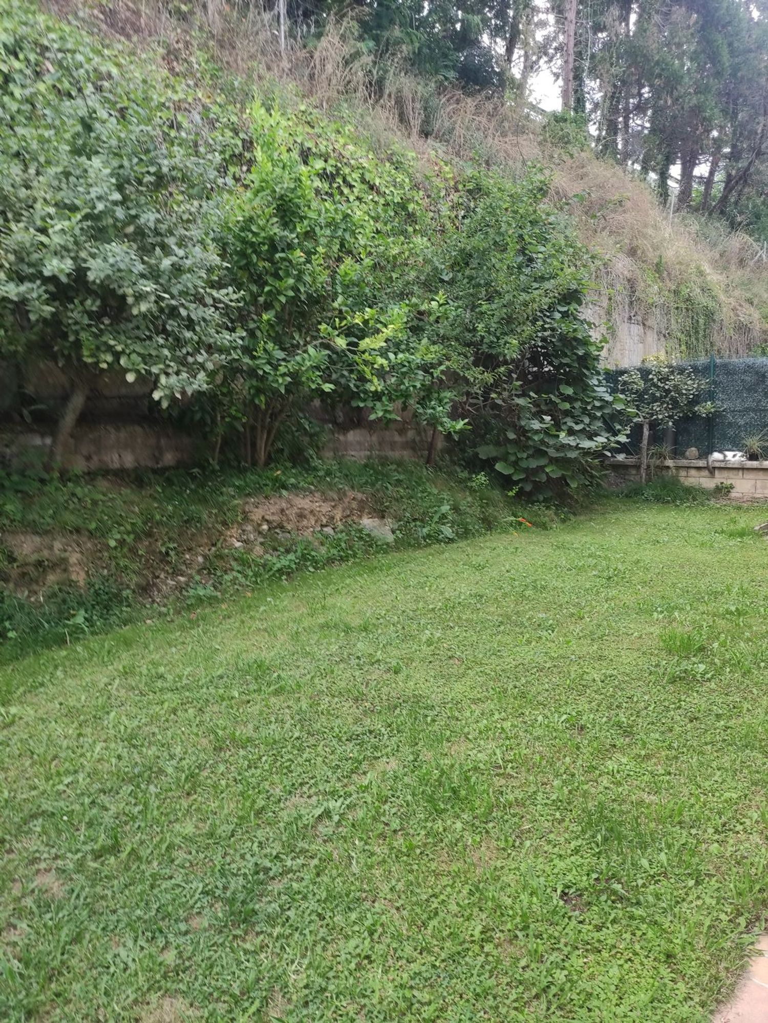 Chalet pareado en Siervas de jesus, 5, Playa Ostende, Playa Ostende - Foto 7