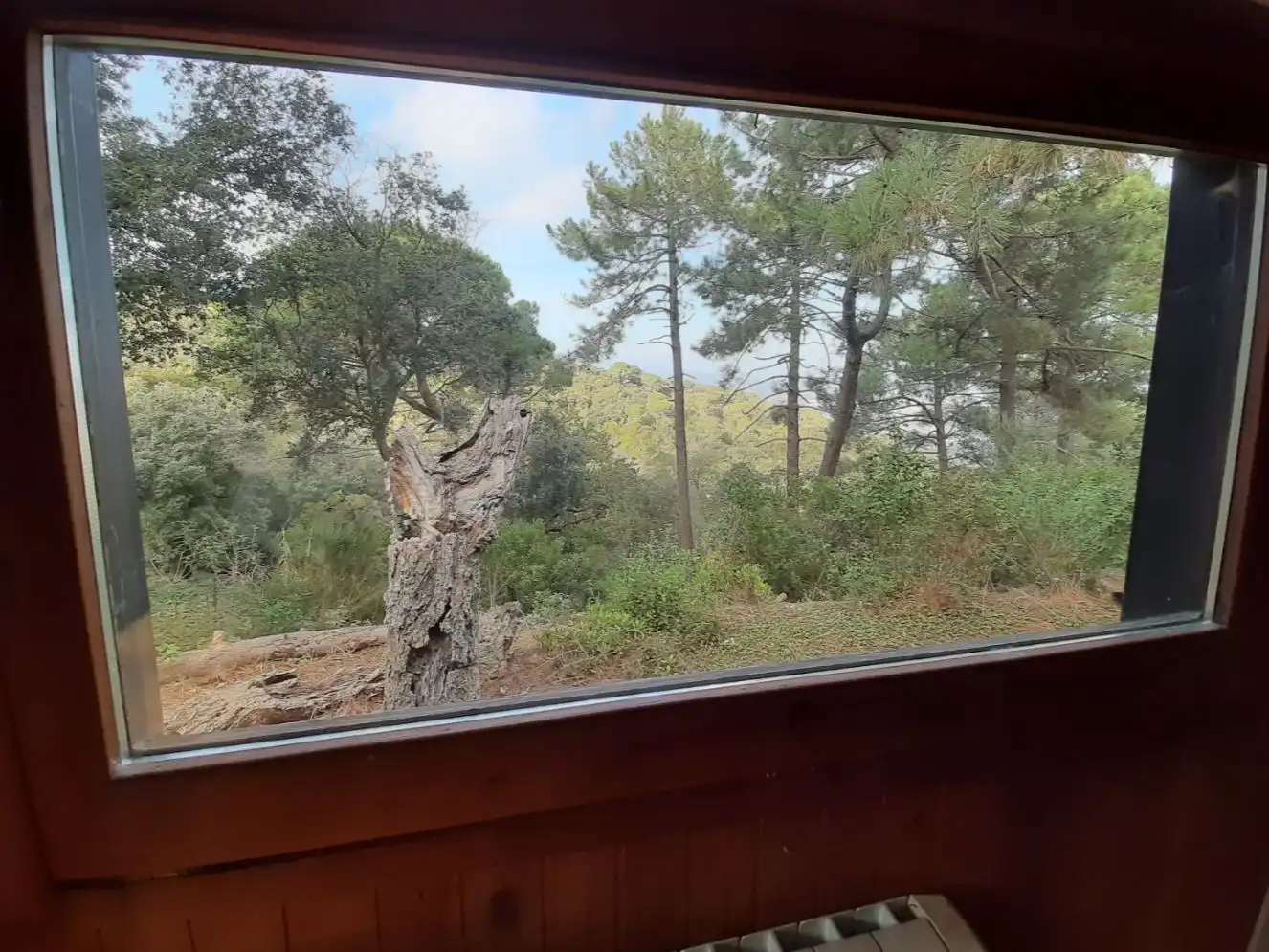 Chalet en  Carrer del Colom 23 - Foto 31