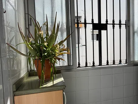 Piso en Virgen de la esperanza s/n Sn - Foto 36