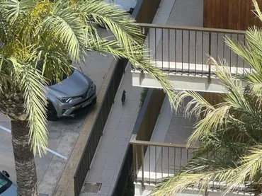 Piso en  Avenida de Niza 37 - Foto 6
