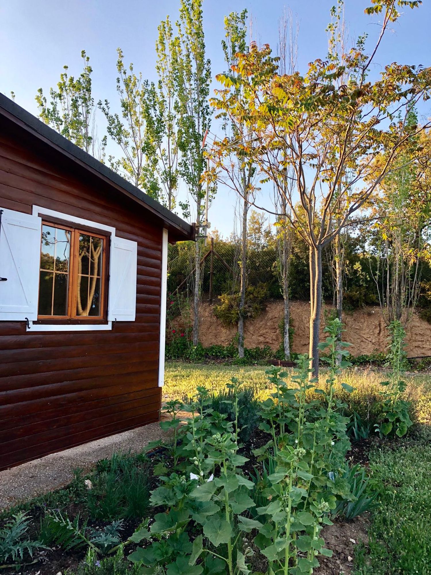 Casa o chalet independiente en La Fresnedilla, 18 - Foto 7