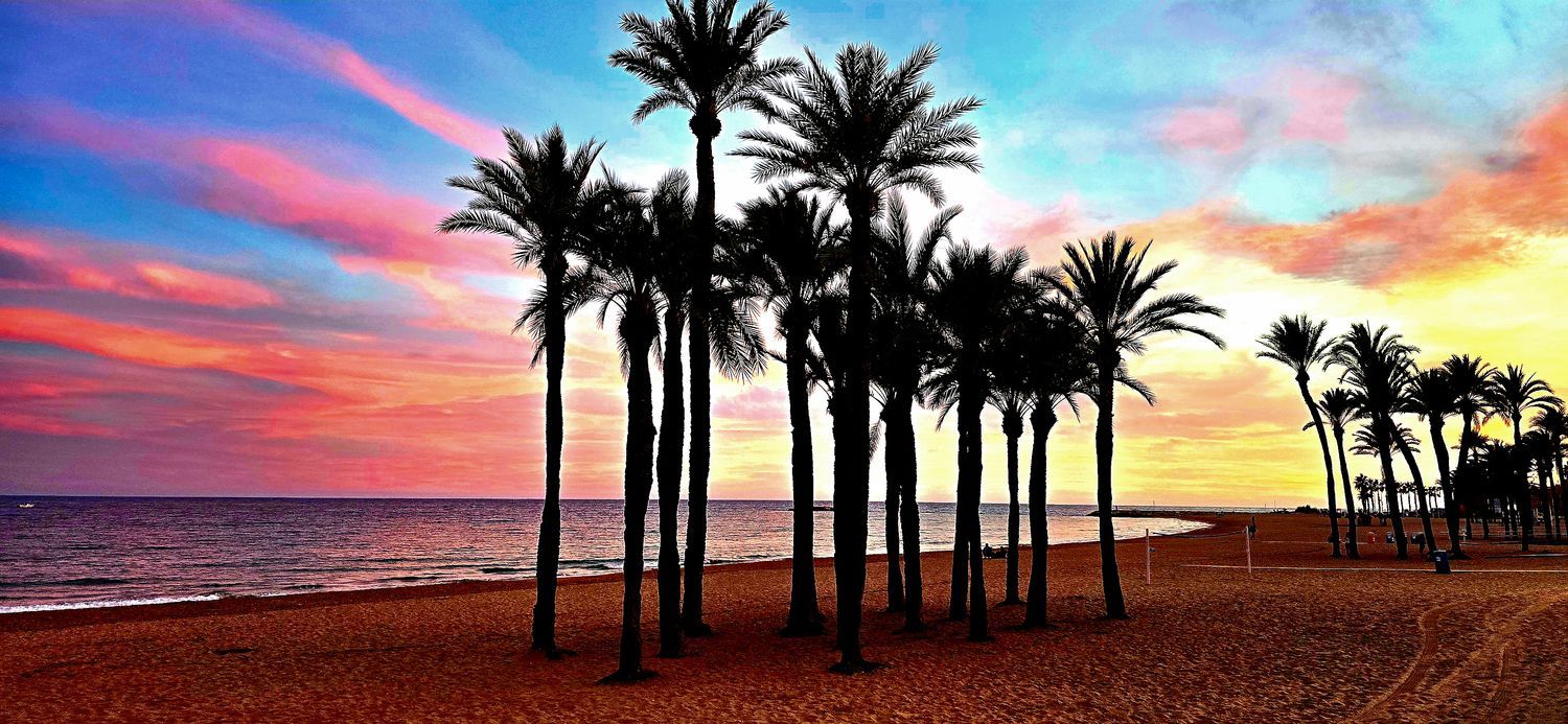 Chalet pareado en calle Oslo, 11 - Foto 33