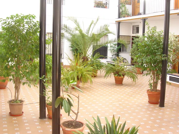 Piso en calle Pozo, 17 - Foto 4