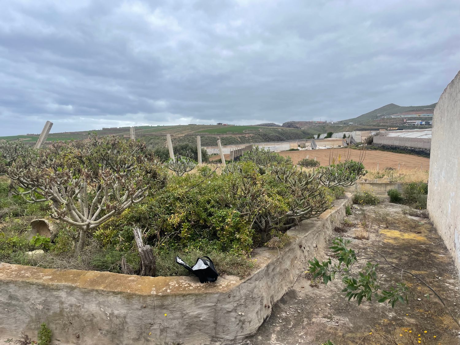Casa terrera en Camino Llanos de Parra, 26 - Foto 6