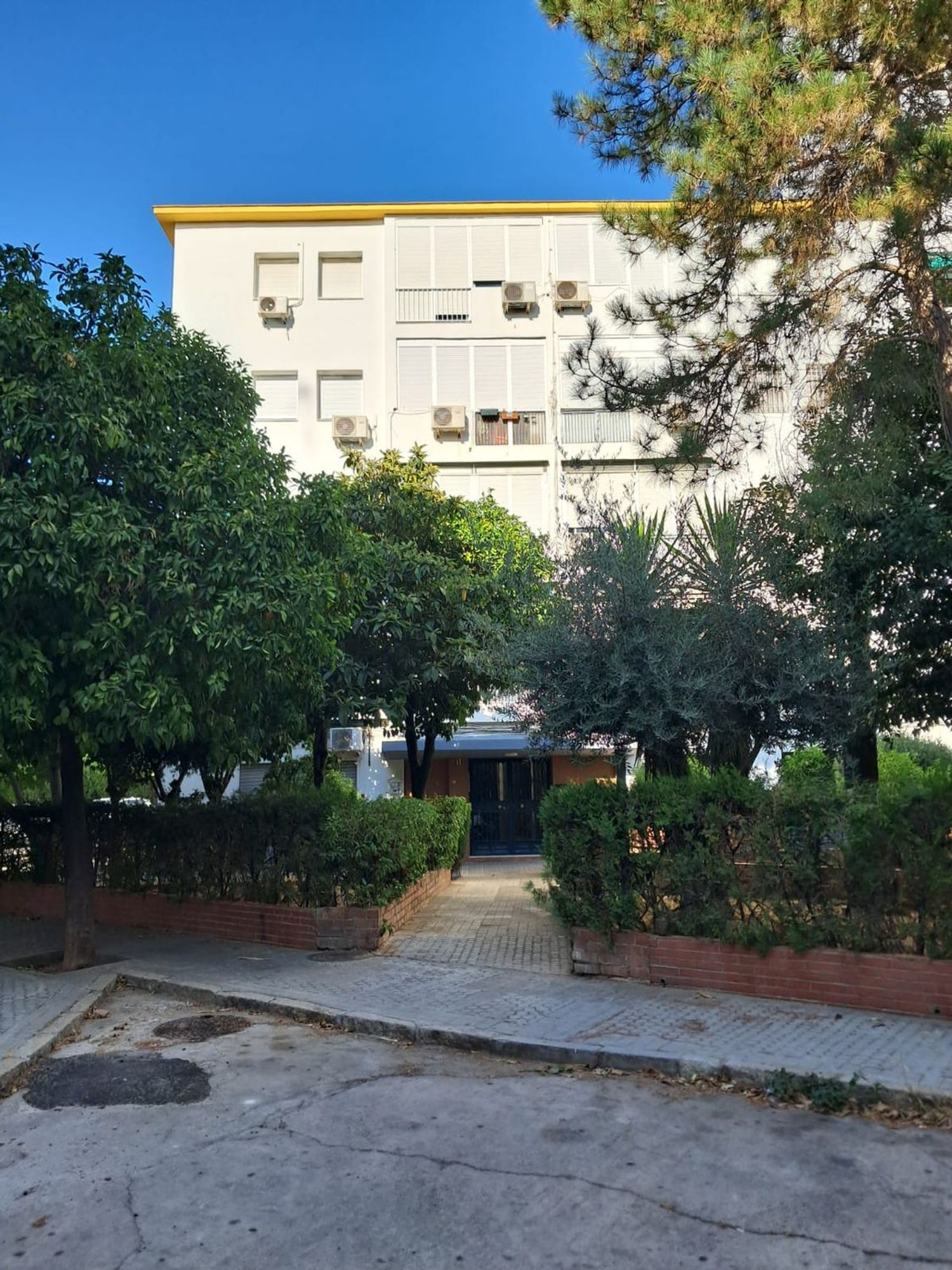 Piso en El Juncal - El Plantinar, El Juncal - El Plantinar - Foto 3