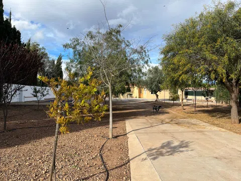 Casa independiente en Diseminado P145, 78