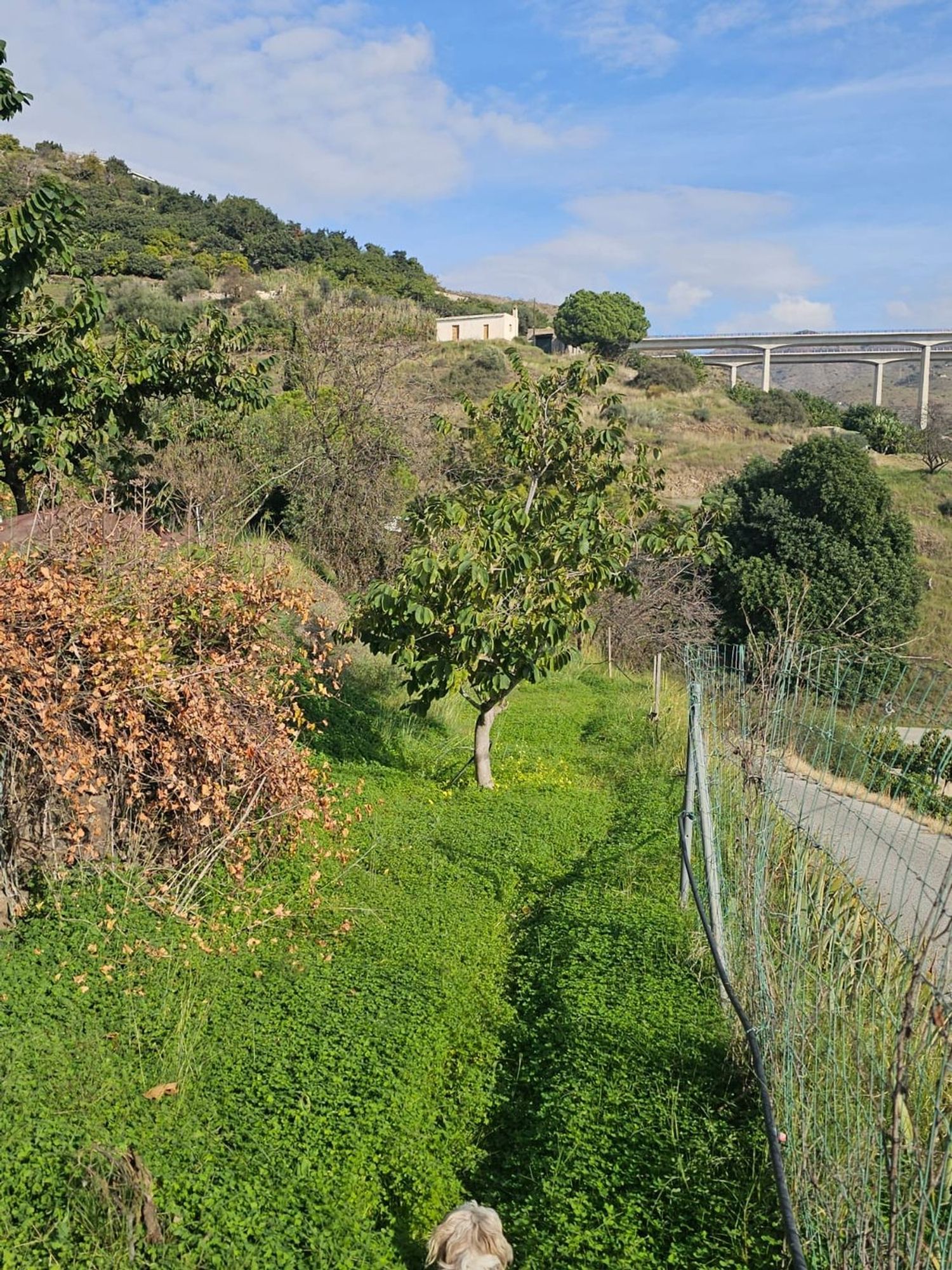 Casa rural en Diseminado Bco Itrabo Pol 25, 131 - Foto 25